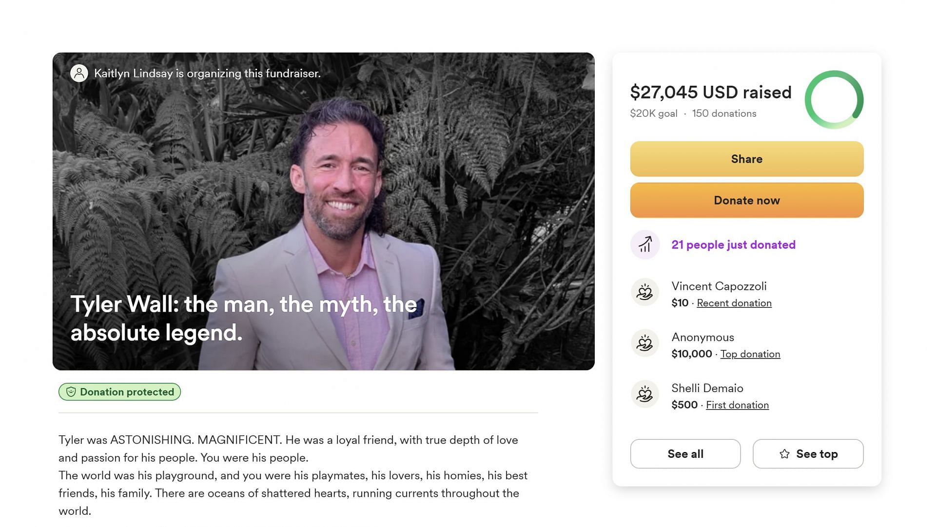 A screenshot of the GoFundMe campaign organized by Tyler Wall's sister (Image via gofundme.com)